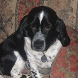 Meet your Posher, Candy